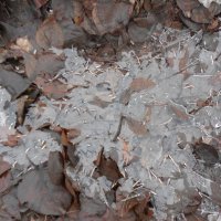 ноябрь :: Елена Шаламова