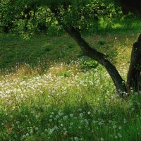 Пейзаж :: Эдуард Куклин