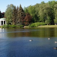 на природе :: Anna-Sabina Anna-Sabina