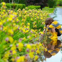 ... :: Елена Сиднина