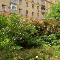 Лето :: Oleg4618 Шутченко