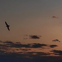 Жизнь :: Андрей 