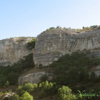 Природа Крыма :: Amazing Cosmea