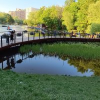 Воронцовский парк :: Галина R...