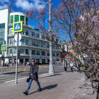 Городская Зарисовка :: юрий поляков