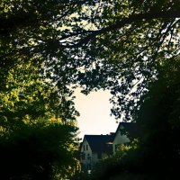 Летние этюды 19 :: Алексей Кузнецов