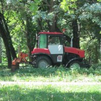 Трактор-косилка :: Дмитрий Никитин