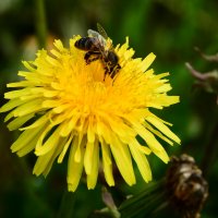 xxxxxx :: סּﮗRuslan HAIBIKE Sevastyanovסּﮗסּ