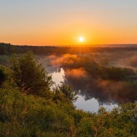 **** :: Виталий Емельянов