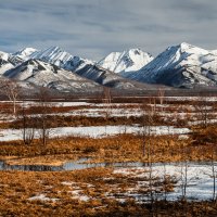 ... :: Жора Житников