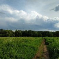 Июнь как он есть :: Андрей Лукьянов