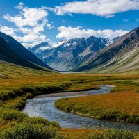 *** :: Ольга *** :: Ольга