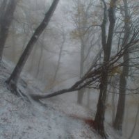Метель....... :: Юрий Цыплятников