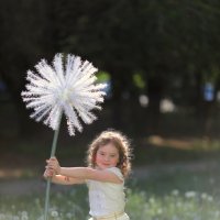 Одуванчик :: Ольга Юртаева