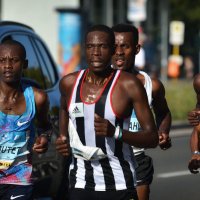 *** :: Dan Berli *** :: Dan Berli