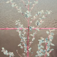 Назва. отсу. :: Денис Безногов