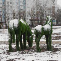 март :: Елена Шаламова