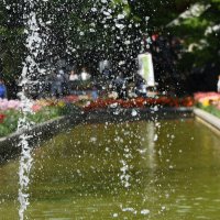 Москва. Весна в Аптекарском... :: Наташа *****