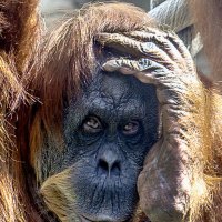 Где мои молодые годы ? :: Валентин 