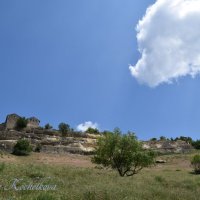 Природа Крыма :: Amazing Cosmea