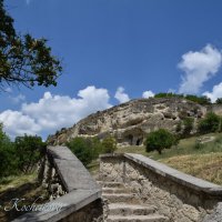 Природа Крыма :: Amazing Cosmea