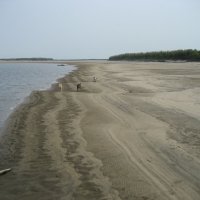 Дикий пляж :: Anna Ivanova