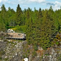 Чайка - местный житель - приглашает! :: Vladimir Semenchukov