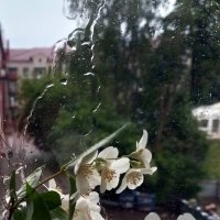 *** :: Валентина Береснева