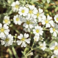 Краски лета :: Андрей Неуймин