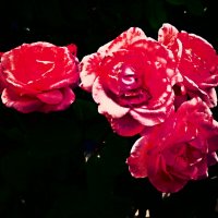 Летние этюды 23 :: Алексей Кузнецов