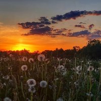 Закат :: Оксана Н.