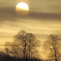 затмение....... :: Ольга Cоломатина