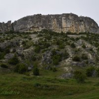 Природа Крыма :: Amazing Cosmea