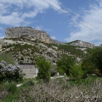 Природа Крыма :: Amazing Cosmea