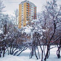 Зима у окон :: Джованни Луче