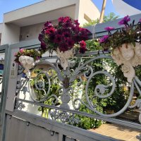 Гуляя по улицам! :: Светлана Хращевская