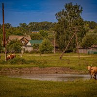 Окрестности :: Юра Викулин