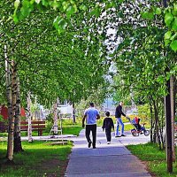 Июнь...Утром хорошо прогуляться! :: Владимир 