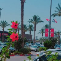 13  ОПЕН (106) :: OPEN WAYS ALL