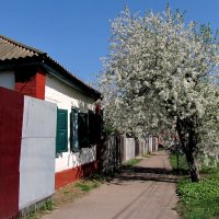 Мой родной город :: Роман Савоцкий