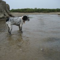 Лето :: Anna Ivanova