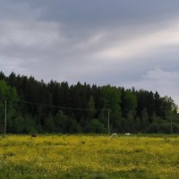 Поля Яви Нави. :: Ольга 