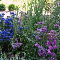 Барселона. :: Владимир Драгунский