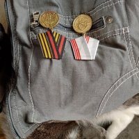 Про кота :: Cергей Кочнев