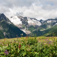 Домбай :: Геннадий Фадеев