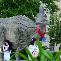Динозавры в городе. :: Наталья Вязигина