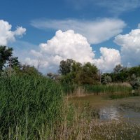 Отдых в Славянке, 2021 год :: Татьяна Пальчикова Отдых в Славянке, 2021 год :: Татьяна Пальчикова