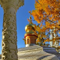 Золото осени. :: Михаил Свиденцов