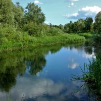 Родниковая речка Свинцовка, питающая Хопёр. Воронежская область. :: Восковых Анна Васильевна 