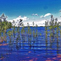 Июнь...Половодье на протоке Сырой Аган! :: Владимир 